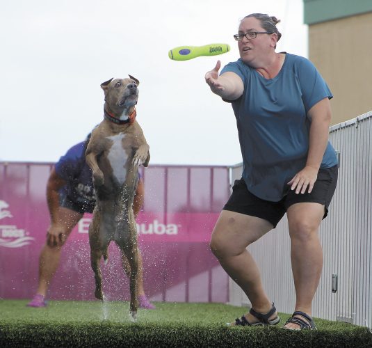 ‘Dog Show Extravaganza’ at Civic Center News, Sports, Jobs North